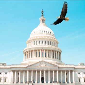eagle soaring over capitol
