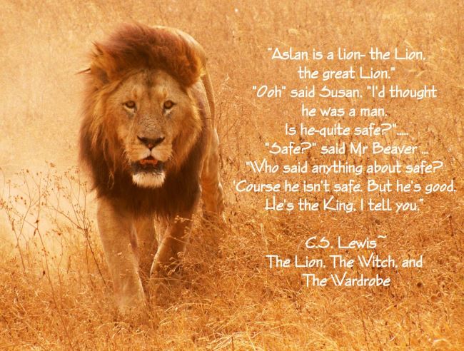 narnia lion